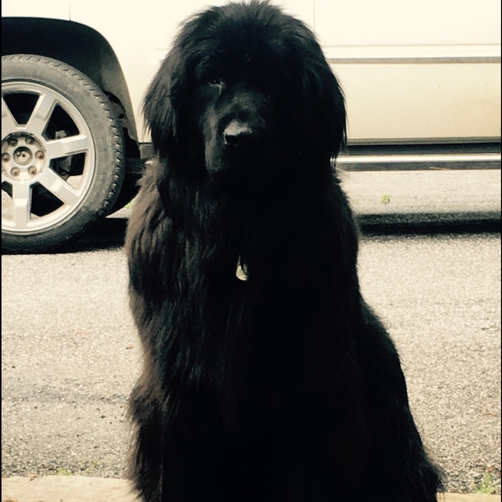 Meet your Posher, Keri